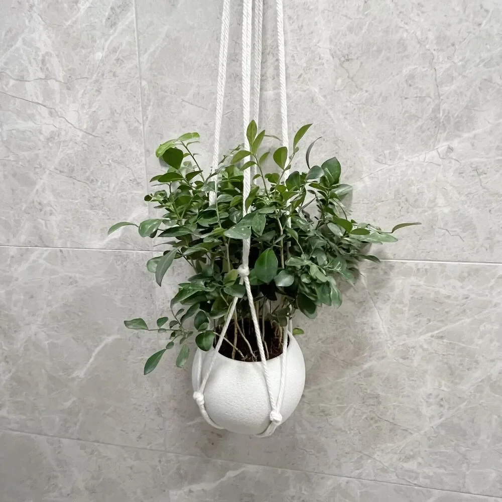 2Pcs Handmade macrame Plant Hangers Plant Pot Hanging Racks Flower Basket